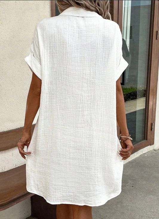 Simple Loose V-Neck Single Breasted Solid Color Shirt Dress